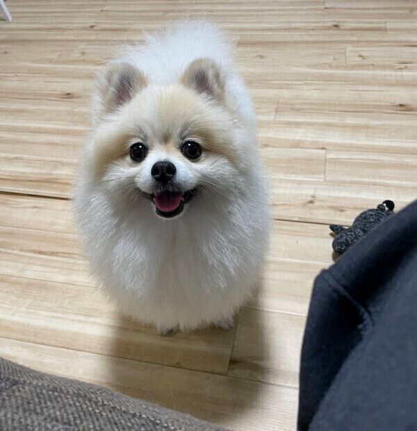 笑顔が可愛いちくわくん