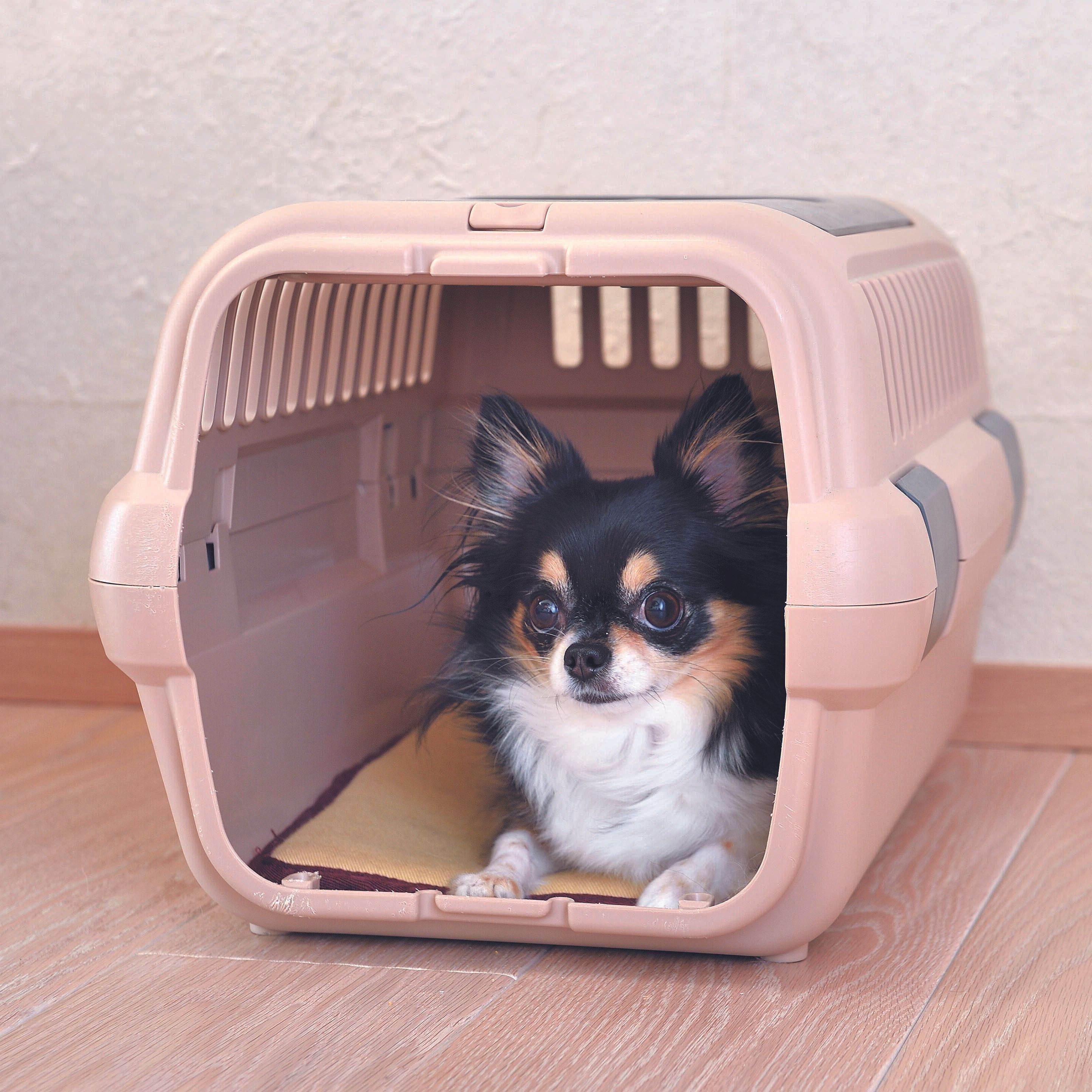 ひとりの時間も大切です