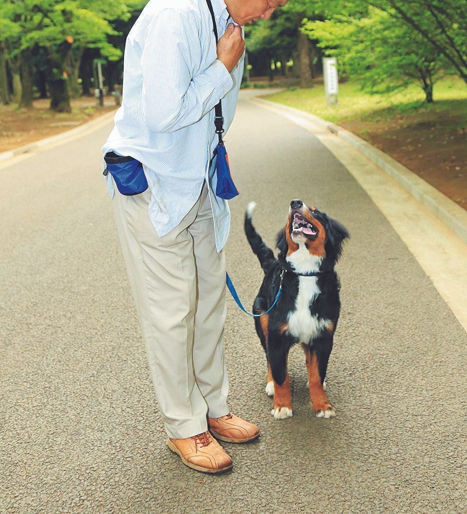 撮影／尾﨑たまき