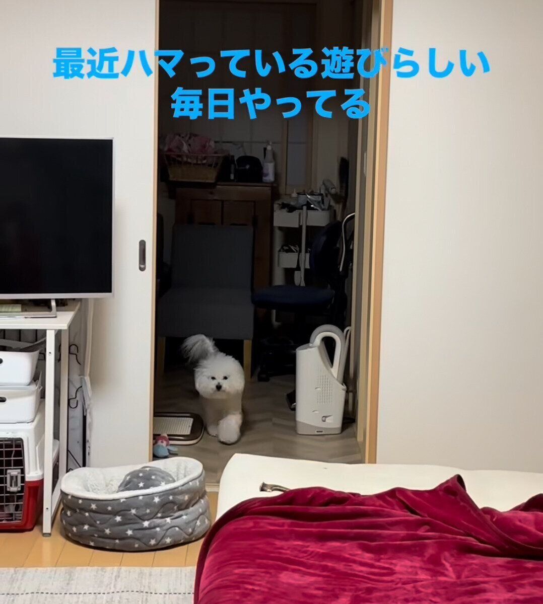 そろりそろりと歩くメルちゃん