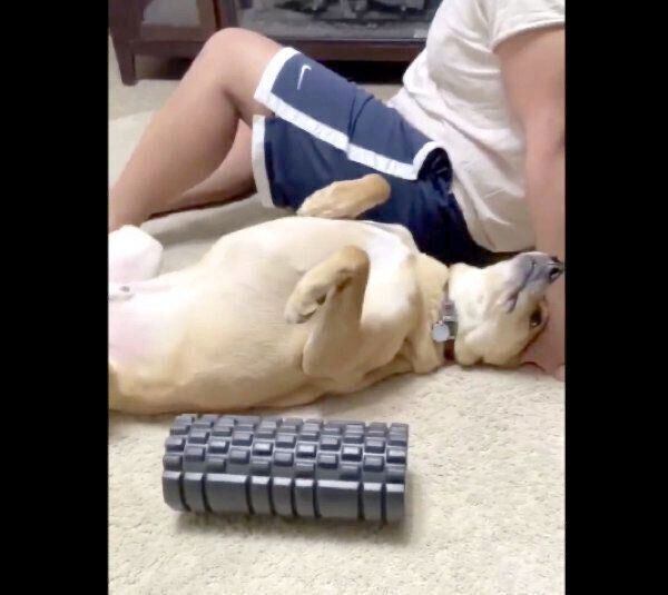 フォームローラーと化すリンちゃん