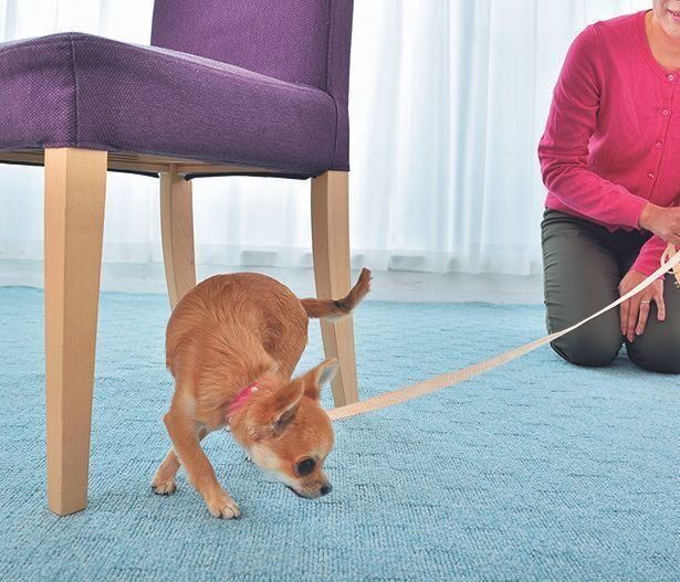 撮影／佐藤正之