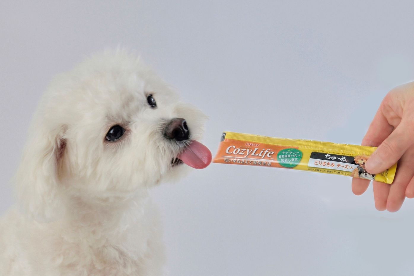 Pr 犬のウンチの匂いが気になる方に試してほしい ちゅ る が新登場 Cozy Life を食レポ いぬのきもちweb Magazine Pr 犬のウンチの匂いが気になる方に試してほしい ちゅ る が新登場 Cozy Life を食レポ いぬのきもちweb Magazine