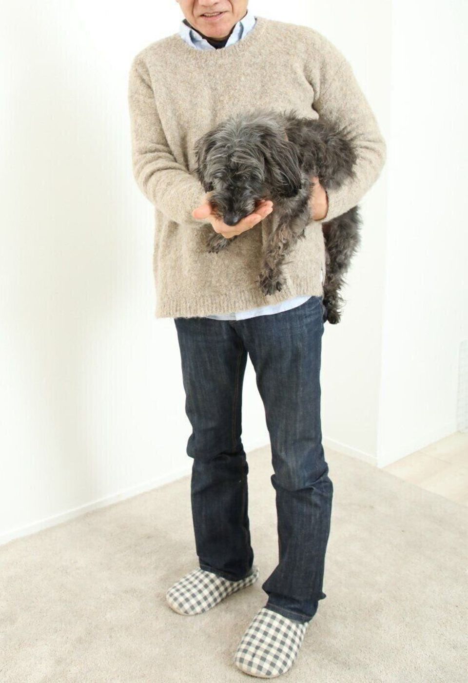 目ヤニ取りで噛む ブラッシングで噛む お手入れに噛む犬への対処法とは いぬのきもちweb Magazine 目ヤニ取りで噛む ブラッシングで噛む お手入れに噛む犬への対処法とは いぬのきもちweb Magazine