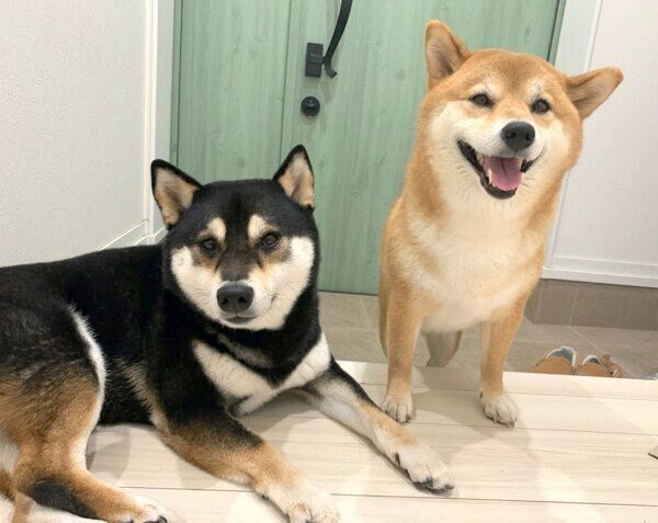 笑顔のはなちゃん(写真右)とゆずちゃん(写真左)