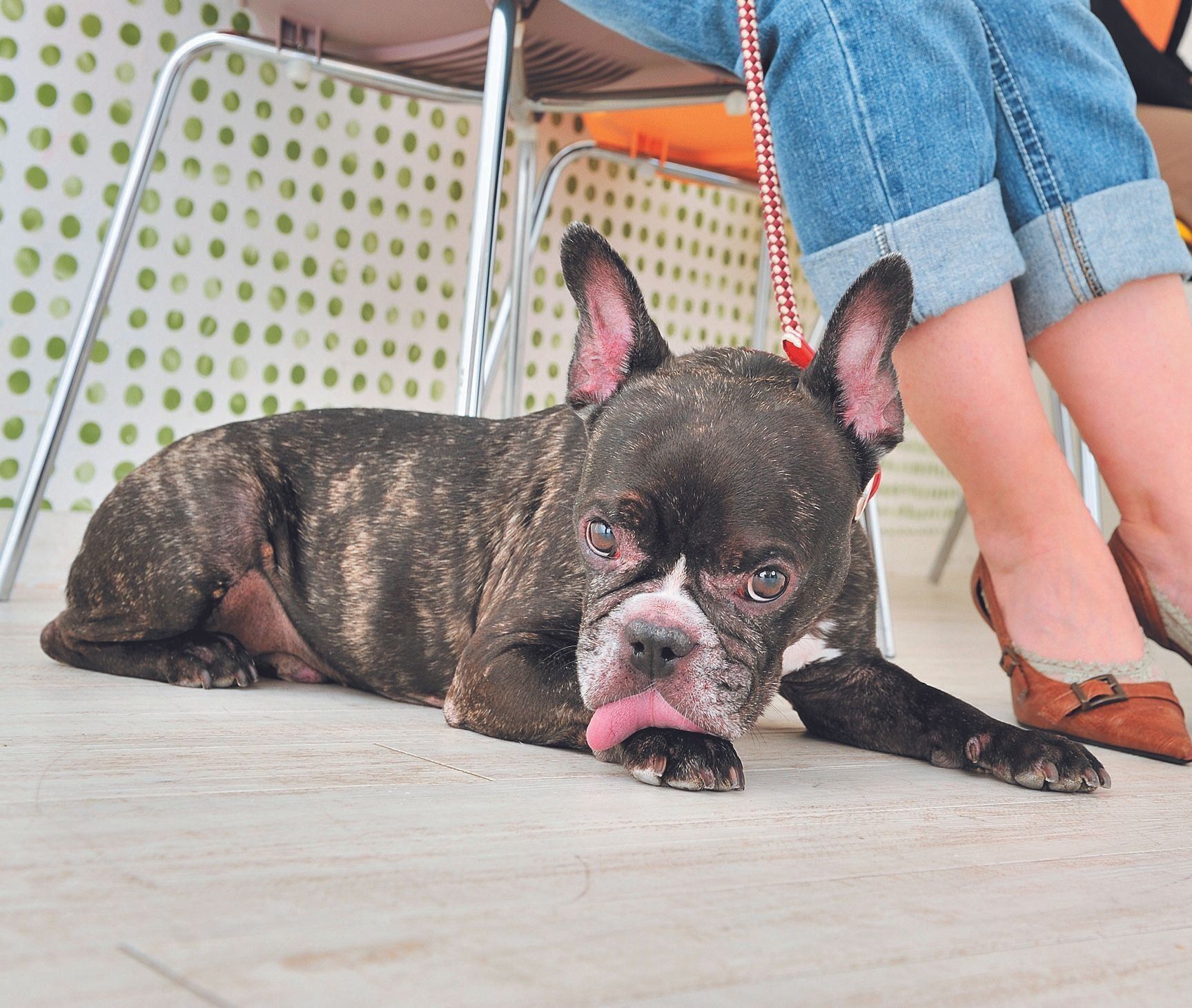 「大丈夫、落ち着け……」