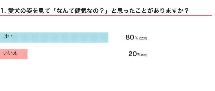 いぬのきもちWEB MAGAZINE　犬の行動に関するアンケートvol.04