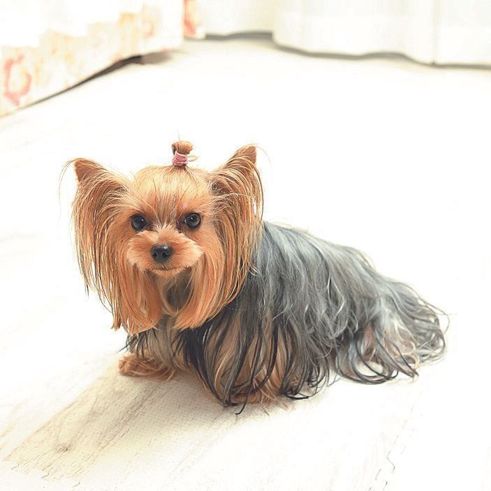 撮影／尾﨑たまき