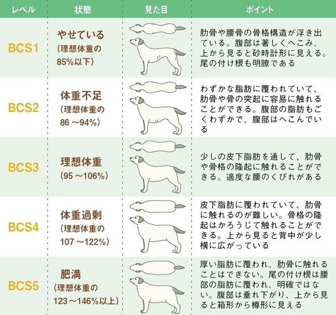 愛犬がぽっちゃりしてきたら心がけたいフード選びのポイント いぬのきもちweb Magazine 愛犬がぽっちゃりしてきたら心がけたいフード選びのポイント いぬのきもちweb Magazine