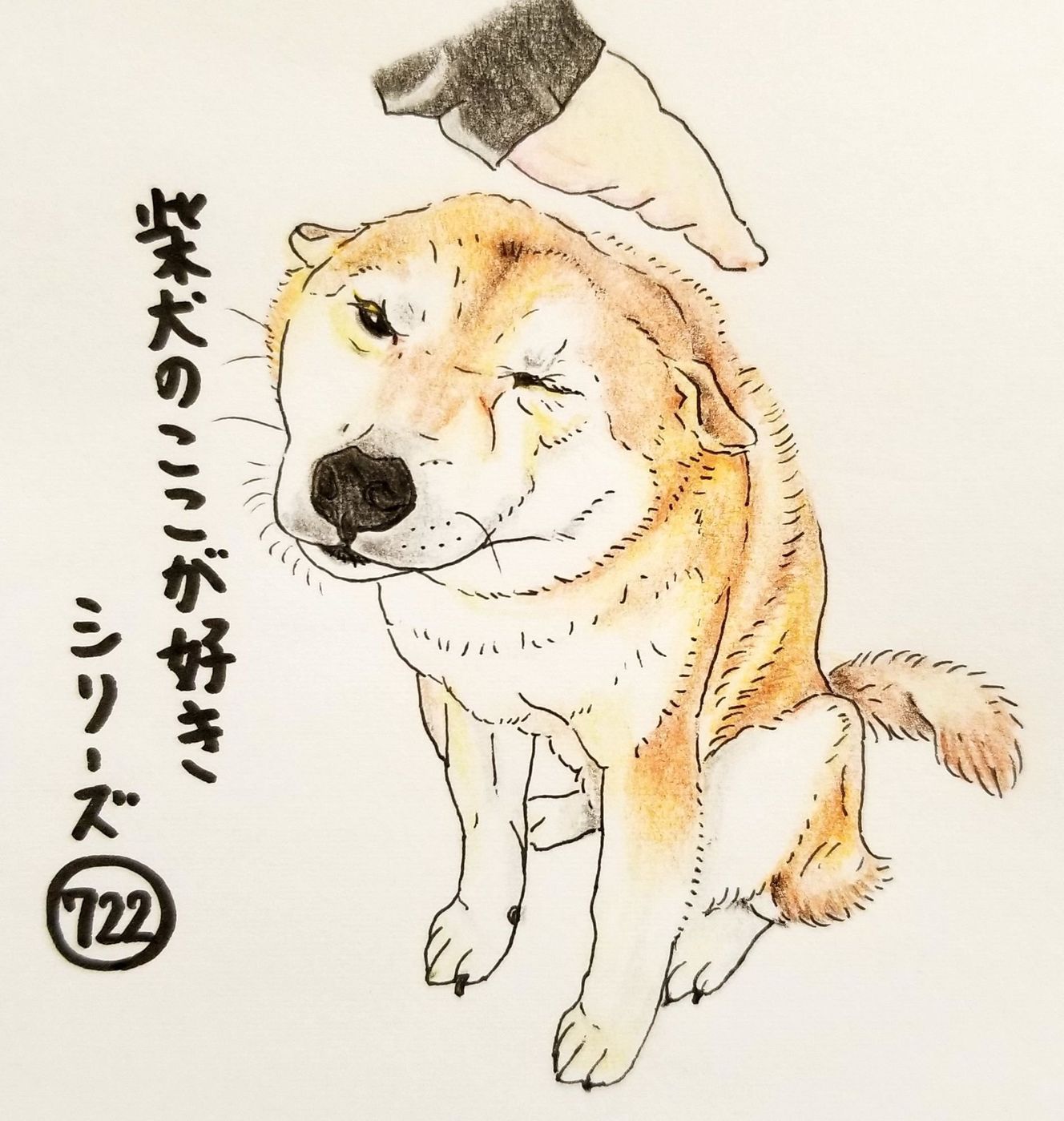 キャンペーンもお見逃しなく 柴犬の絵 Www Thewalldogs Com