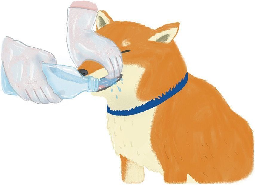 イラスト／きじまももこ
