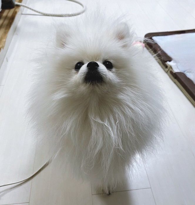 生後10カ月頃のあんにんくん