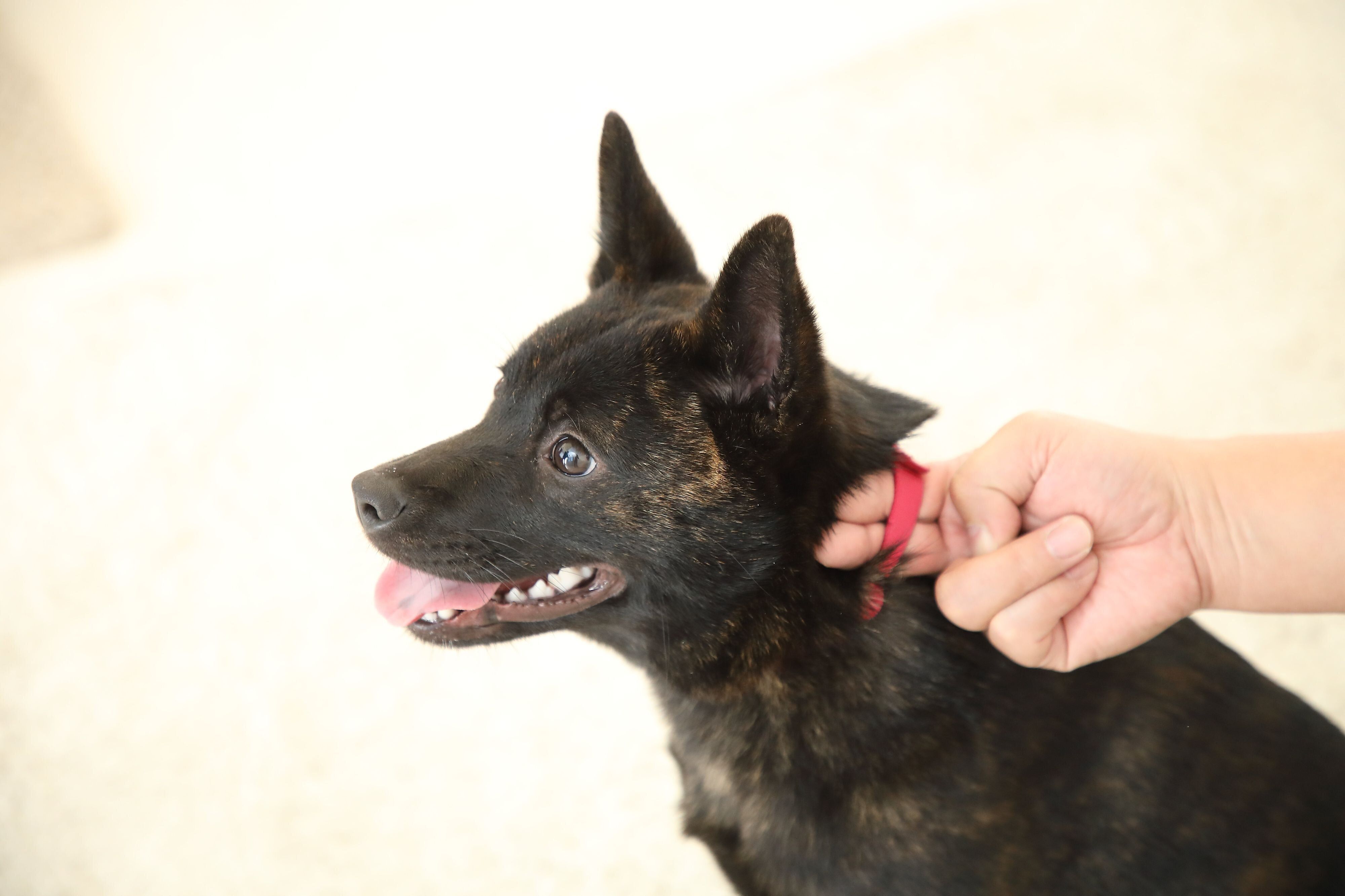 撮影／尾﨑たまき