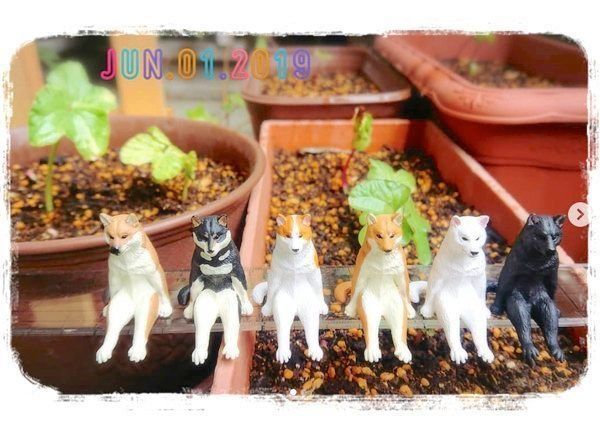 カプセルトイ「座る犬」