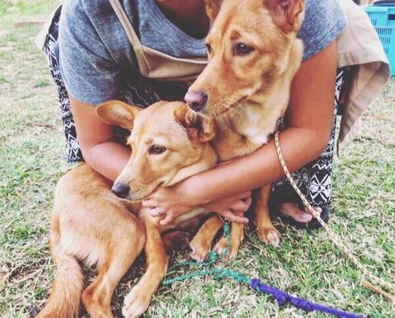 寄り添うむぎちゃんとおこめちゃん