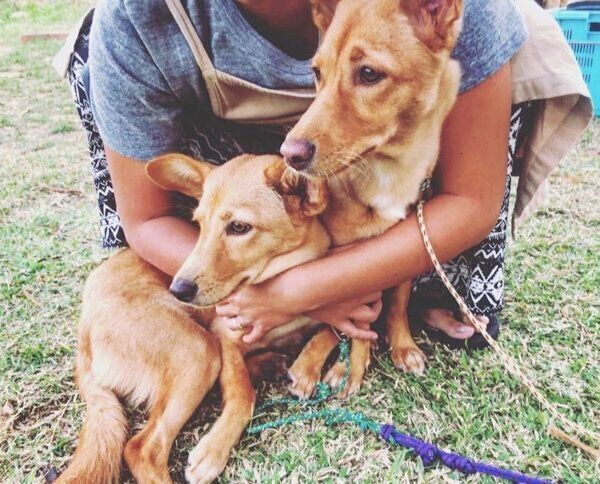 寄り添うむぎちゃんとおこめちゃん