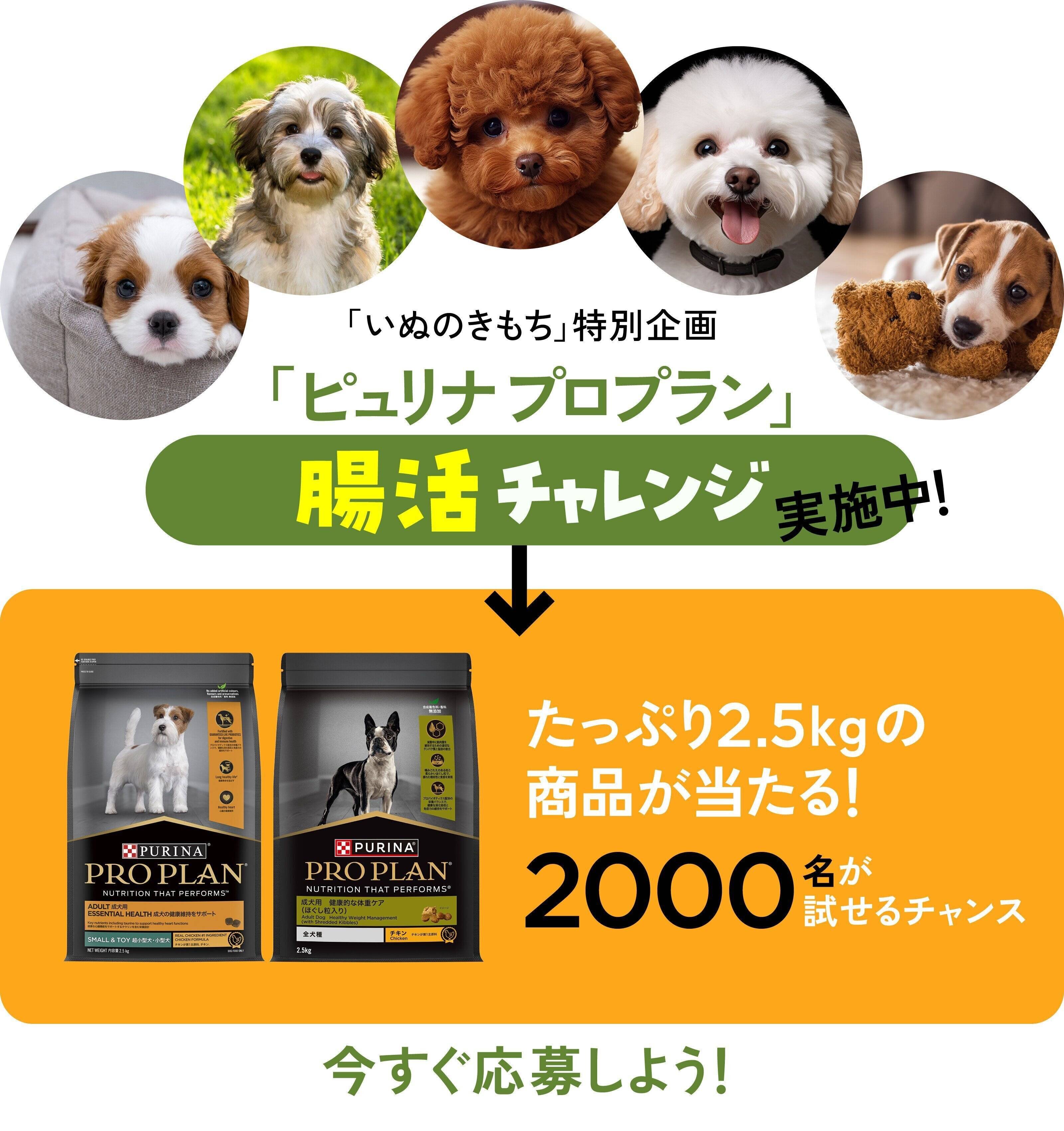 ピュリナ プロプラン 腸活チャレンジ