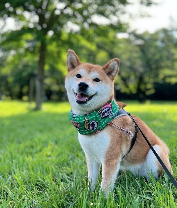 笑顔が可愛いすずちゃん