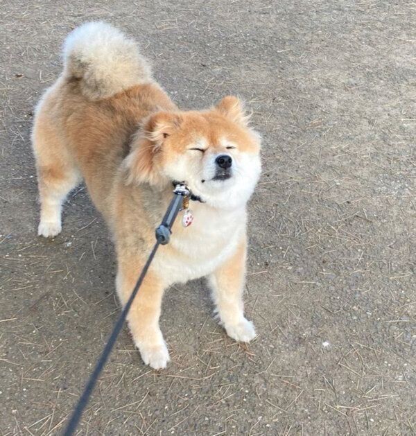 駄々をこねるちよちゃん