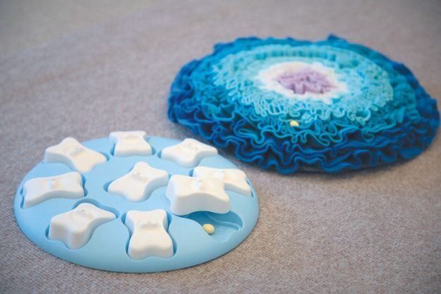 撮影／尾﨑たまき