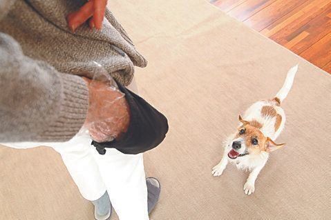 撮影/尾﨑たまき