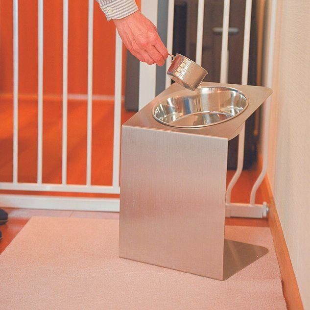 撮影／犬丸美絵