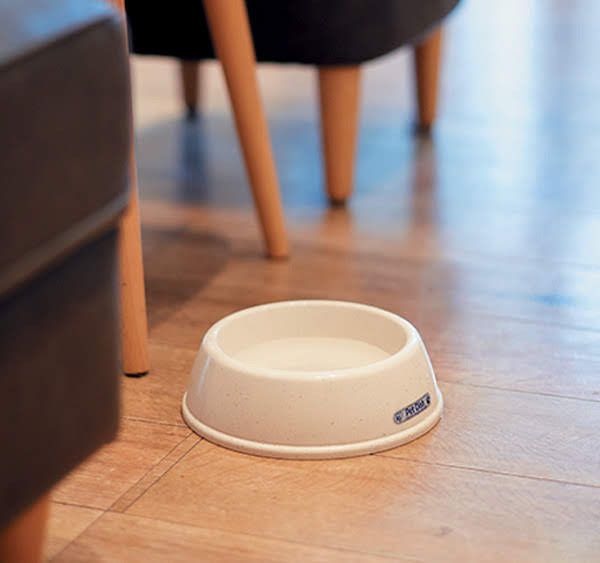 写真／吉田篤史