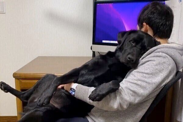 飼い主さんに抱っこされるエマちゃん