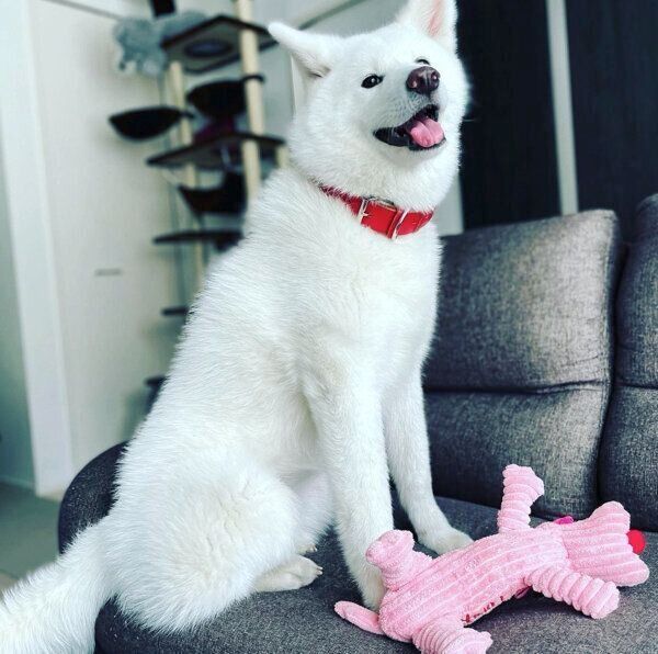 楽しそうなユキちゃん