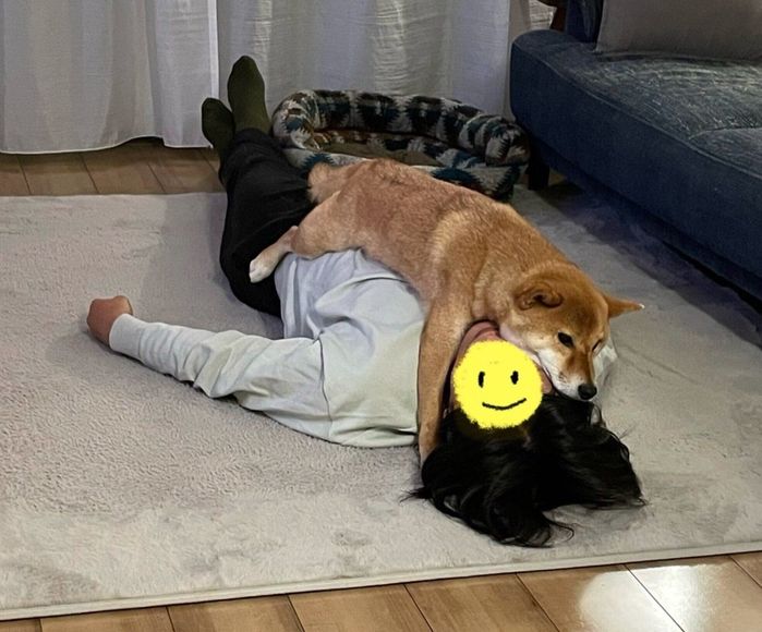 飼い主さんの上に乗ってくつろぐおだしくん