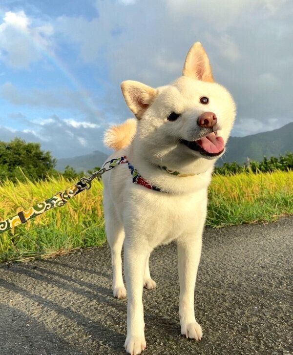 笑顔のたおるくん