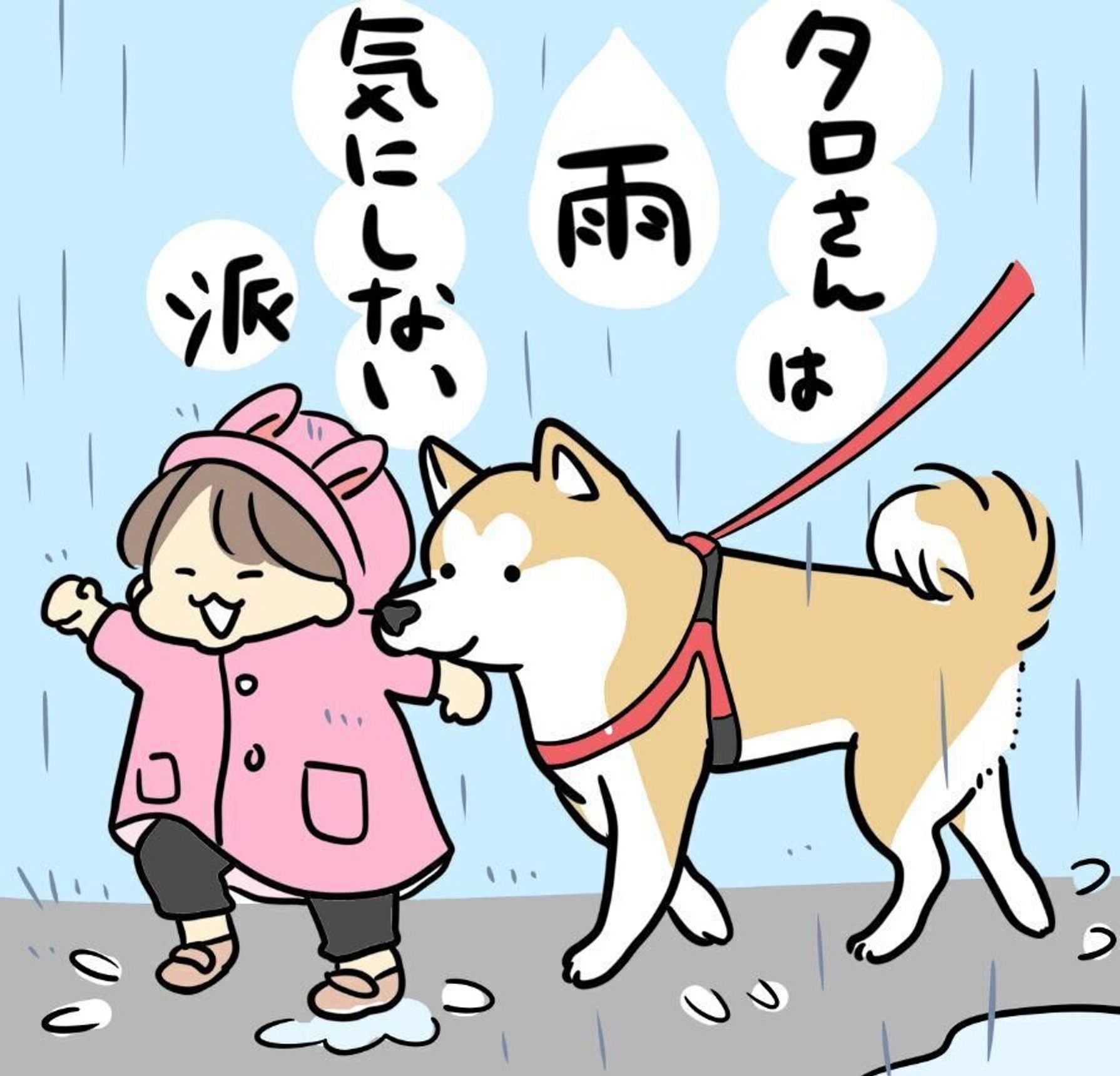 雨に濡れた柴犬タロさん ドライヤーに興味を示すも もういいです と断念 連載 モフモフ柴とプニプニ娘 第話 いぬのきもちweb Magazine 雨に濡れた柴犬タロさん ドライヤーに興味を示すも もういいです と断念 連載 モフモフ柴とプニプニ娘 第話 いぬのきもちweb Magazine