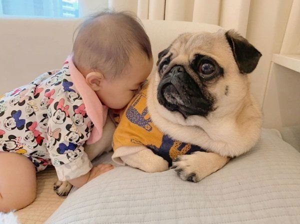 寄り添うぱぐぞうくんと妹ちゃん