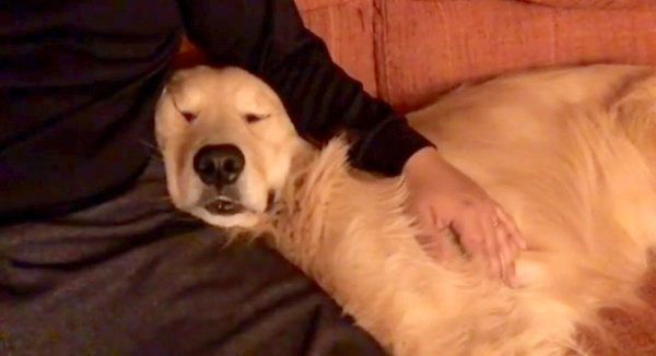 イビキをかいて爆睡するかいくん