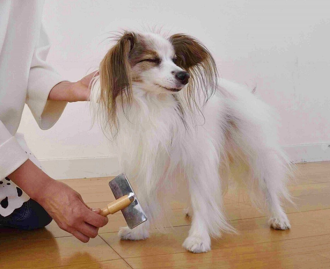 （撮影／佐藤正之）