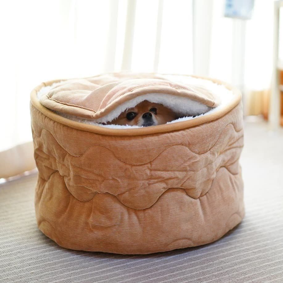 すっぽり収まっているビビちゃん