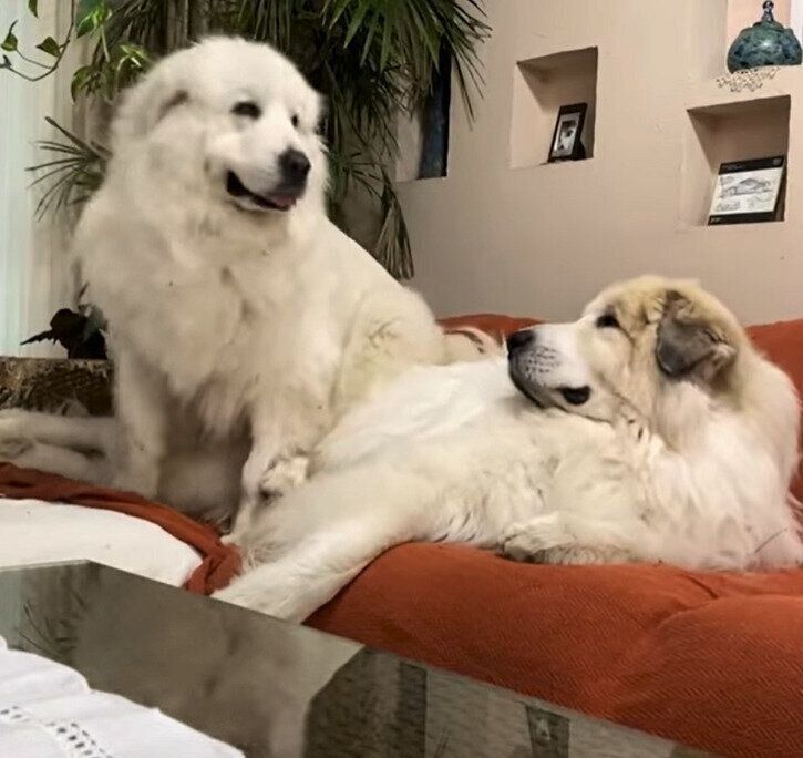 教育的指導をするルンルンちゃん