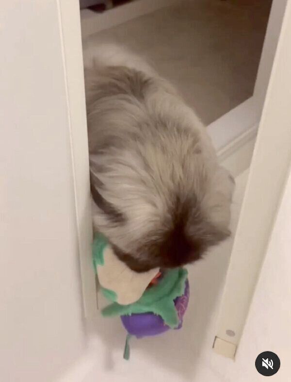 お風呂場に差し入れを持ってくるモブくん