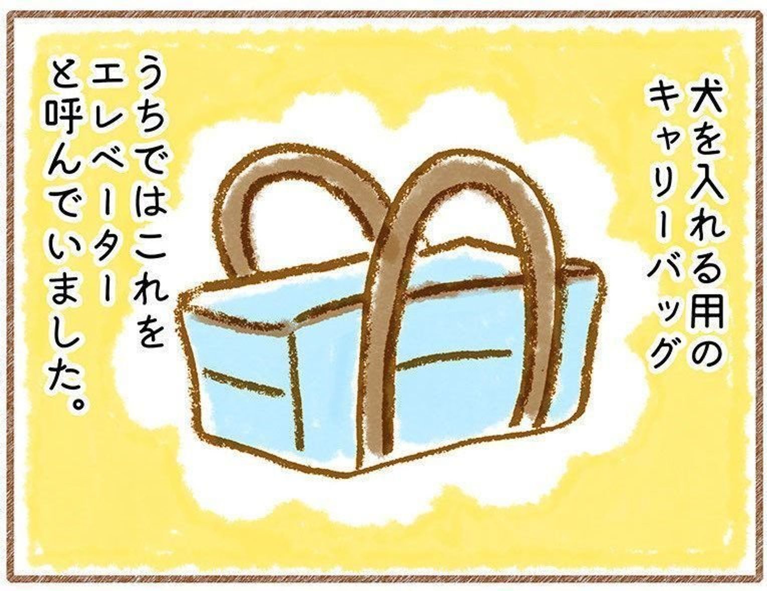 カバンをエレベーターに 連載 こぐま犬てんすけ Vol 7 いぬのきもちweb Magazine カバンをエレベーターに 連載 こぐま犬てんすけ Vol 7 いぬのきもちweb Magazine