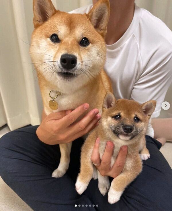 一緒に暮らし始めた頃のまるちゃんとはなちゃん