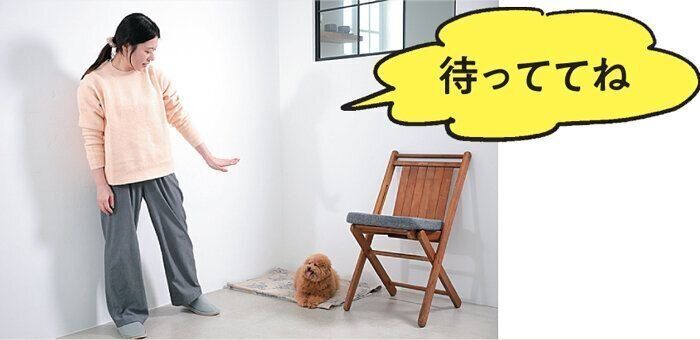 犬のチャイム吠え対策