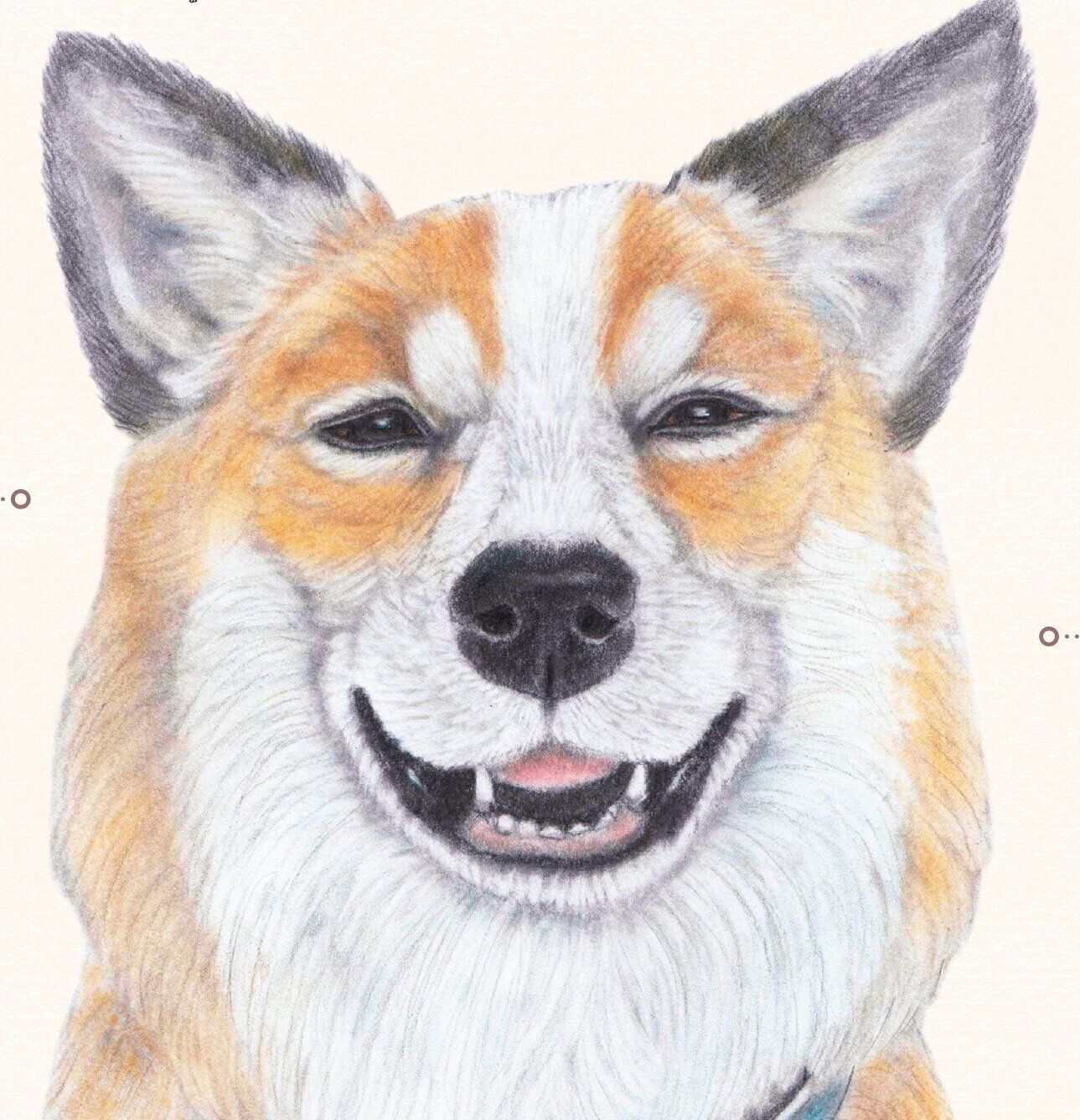 イラスト／くるみ るか