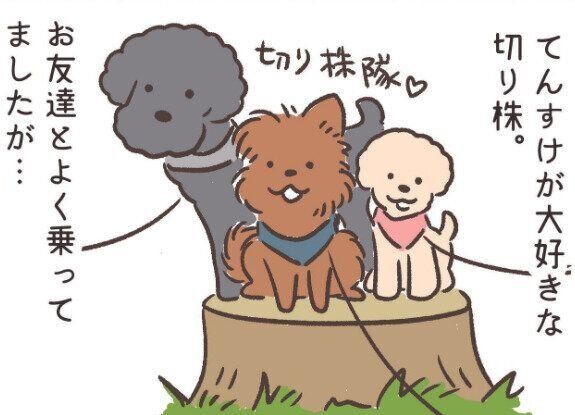 連載「こぐま犬てんすけ」