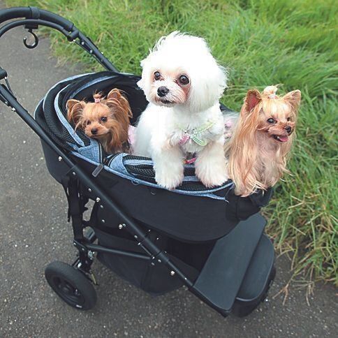 撮影／尾﨑たまき