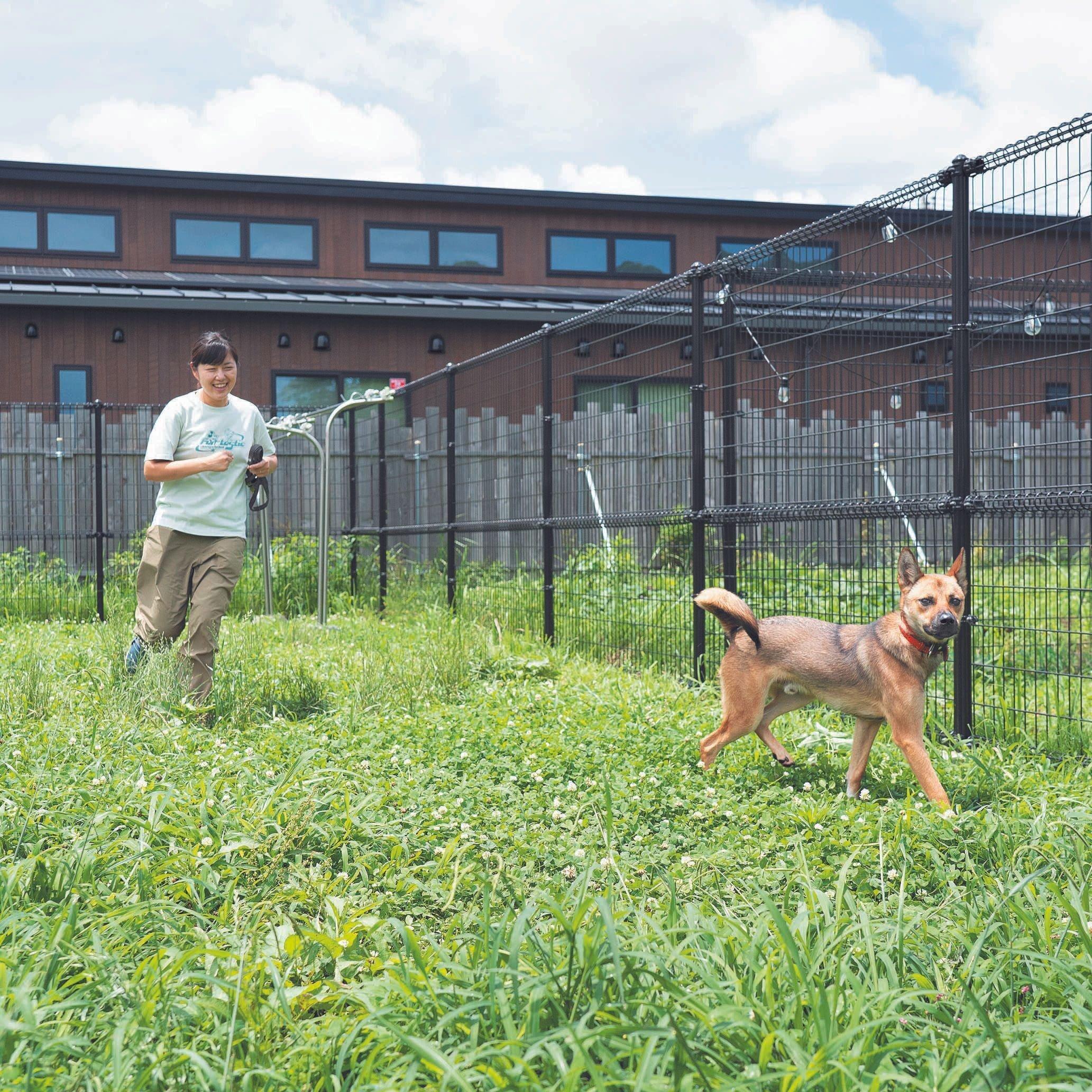 キドックス代表理事の上山琴美さん。筑波大学在学時から若者の自立支援、保護犬を救う活動に携わり2010年にキドックスを設立。2022年に茨城県内の広大な敷地に移転し、活動の範囲を広げて地域にも貢献