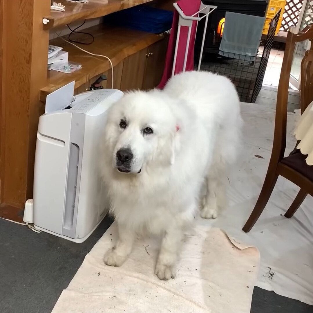 目薬がイヤなルンルンちゃん