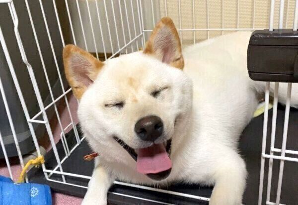 笑顔のはるちゃん