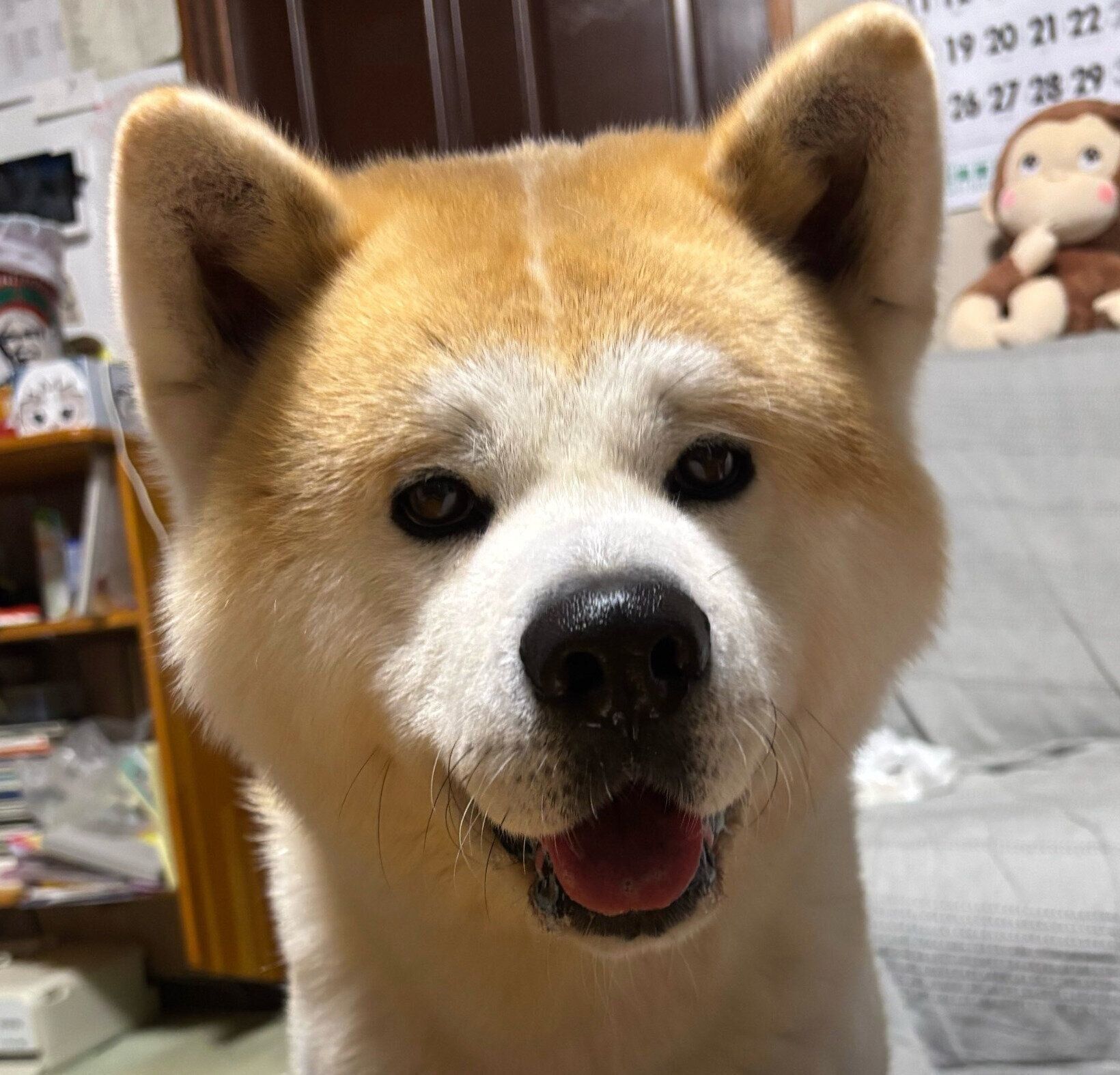 笑顔が可愛いむう太くん