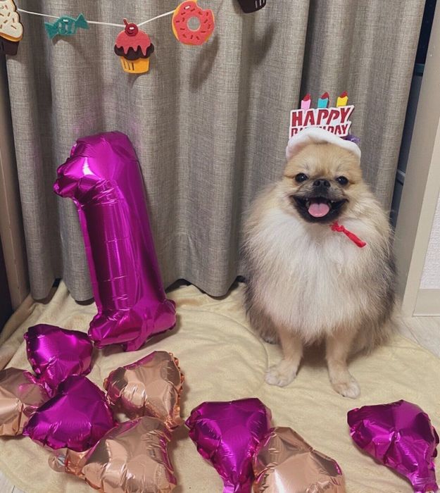 1才の誕生日のときの様子
