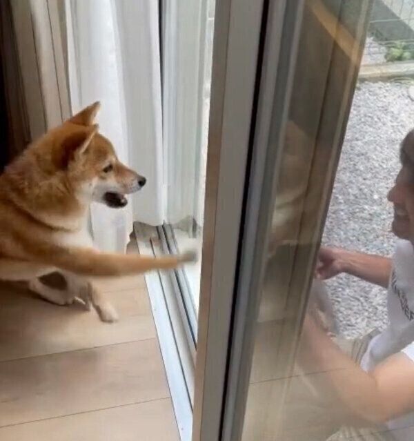 パパさんの姿が見えて嬉しそうなすずちゃん